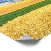 Poster Récolte de blé sur la Palouse dans l'est (Coin)