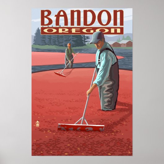 Poster Récolte de canneberges - Bandon, Oregon (Devant)
