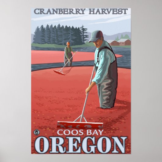 Poster Récolte de canneberges - Coos Bay, Oregon (Devant)