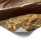 Poster Récolte de grains, rizière (Coin)