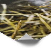 Poster Récolte de jour occupée (Coin)