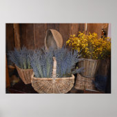 Poster Récolte de Lavande Rustique (Devant)