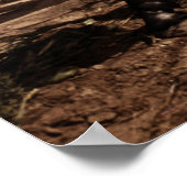 Poster Récolte de maïs : 1940 (Coin)