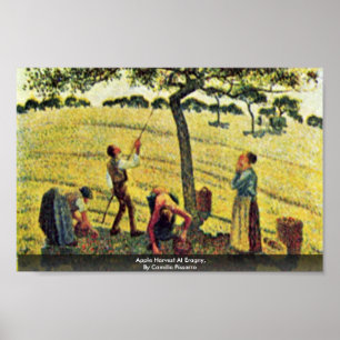 Poster Récolte De Pommes À Eragny, Par Camille Pissarro