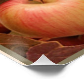 Poster Récolte de pommes Thanksgiving (Coin)