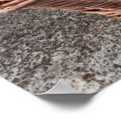 Poster Récolte de raisins (Coin)