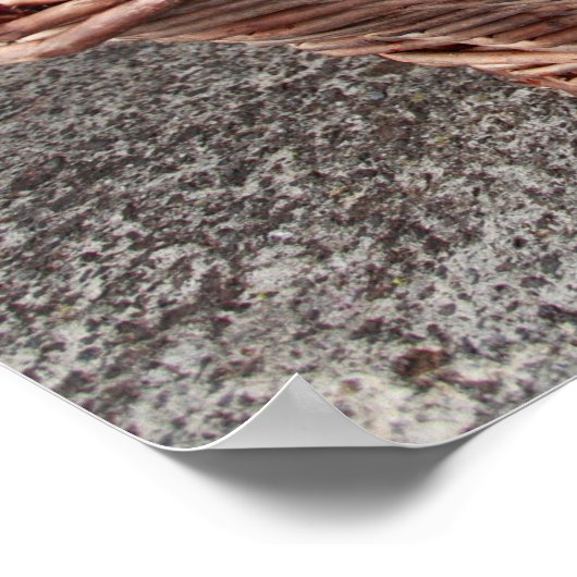 Poster Récolte de raisins (Coin)