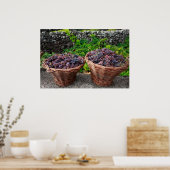 Poster Récolte de raisins (Cuisine)