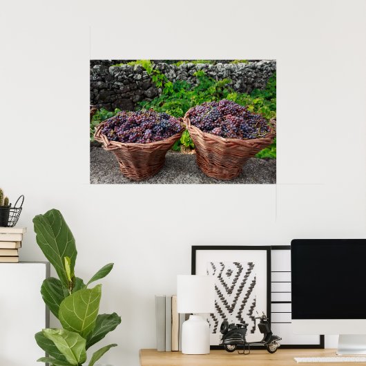 Poster Récolte de raisins (Bureau à domicile)
