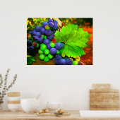 Poster Récolte des raisins (Cuisine)