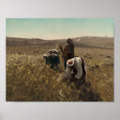 Poster Récolte d'orge dans les champs de Bethléem (Devant)