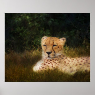 Poster Recréer le guépard à Fossil Rim