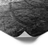Poster Recroissance (Coin)