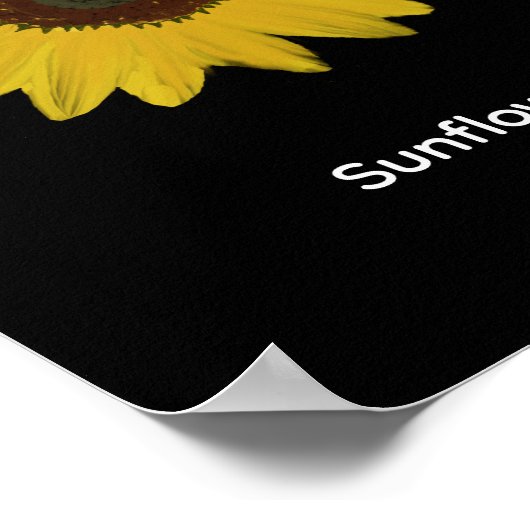 Poster rectangulaire de tournesol (Coin)