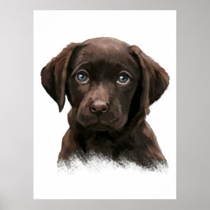 Poster Récupérateur de chocolat Labrador
