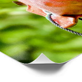 Poster récupération de laboratoire noir (Coin)