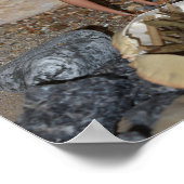 Poster Récupération du bois pour le feu. (Coin)