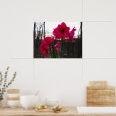 Poster Red Amaryllis et le lever du soleil d'hiver (Cuisine)