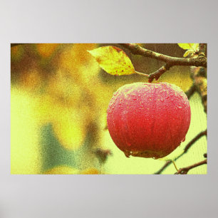 Poster "Red Apple" Cute Photo. Buy Now