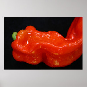 Poster Red Bell Pepper