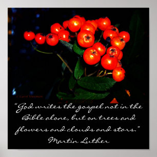 Poster Red berries with Martin Luther quote print