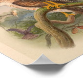 Poster Red Breask Bird Art Vintage Imprimer (Coin)