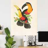 Poster Red-Breasted Toucan Bird (Bureau à domicile)