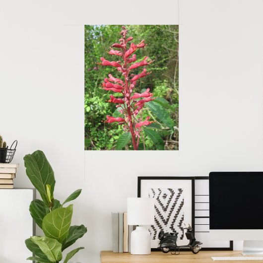 Poster Red Buckeye (Bureau à domicile)