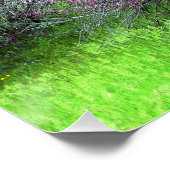 Poster Red Bud tree.... (Coin)