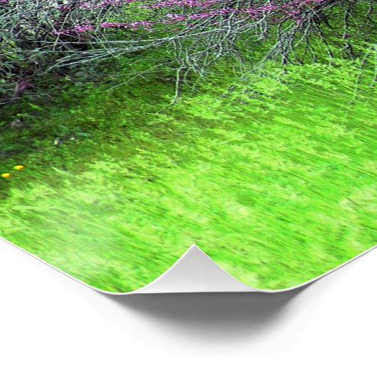 Poster Red Bud tree.... (Coin)