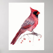 Poster Red Cardinal Bird (Devant)