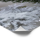 Poster Red Cardinal Birds Angels Sont Près De Glossy Post (Coin)