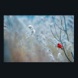 Poster Red Cardinal dans Winter Nature Photo de Christmas<br><div class="desc">Une affiche avec une photo nature pittoresque montrant un cardinal rouge vif. Contrasté par rapport à un arrière-plan hivernal extérieur avec la neige tombant doucement vers le bas.</div>