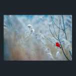 Poster Red Cardinal dans Winter Nature Photo de Christmas<br><div class="desc">Une affiche avec une photo nature pittoresque montrant un cardinal rouge vif. Contrasté par rapport à un arrière-plan hivernal extérieur avec la neige tombant doucement vers le bas.</div>