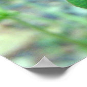 Poster Red Clover Blossom 3 (Coin)