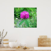 Poster Red Clover Blossom 3 (Cuisine)