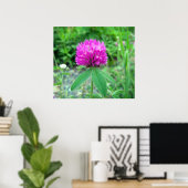 Poster Red Clover Blossom 3 (Bureau à domicile)