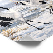 Poster Red-crowned Cranes Dancing in Winter –  (Coin)
