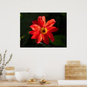 Poster Red Dahlia (évêque de Llandaff) (Cuisine)