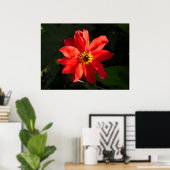 Poster Red Dahlia (évêque de Llandaff) (Bureau à domicile)