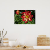 Poster Red Dahlias (Cuisine)