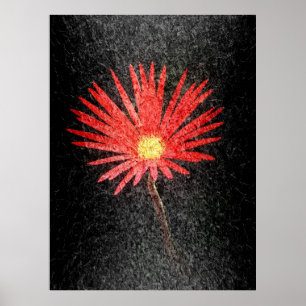 Poster Red Daisy sur l'arrière - plan noir   Art Abstrait