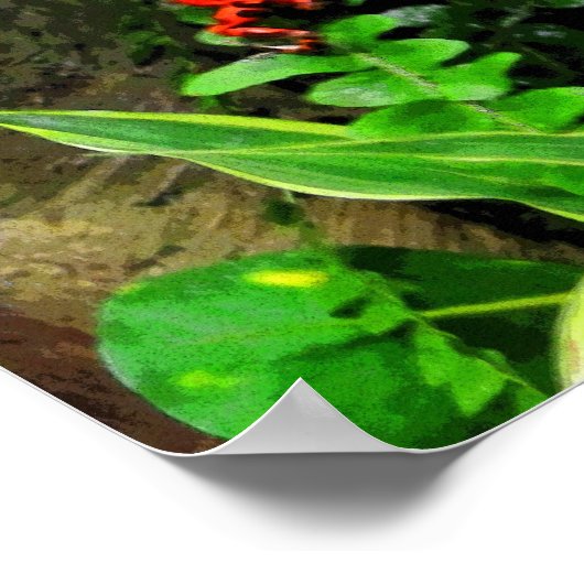 Poster Red Dart Frog CB (Coin)