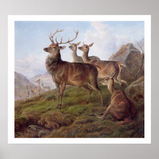 Poster Red Deer dans un paysage des Highlands, 1872 (huil (Devant)