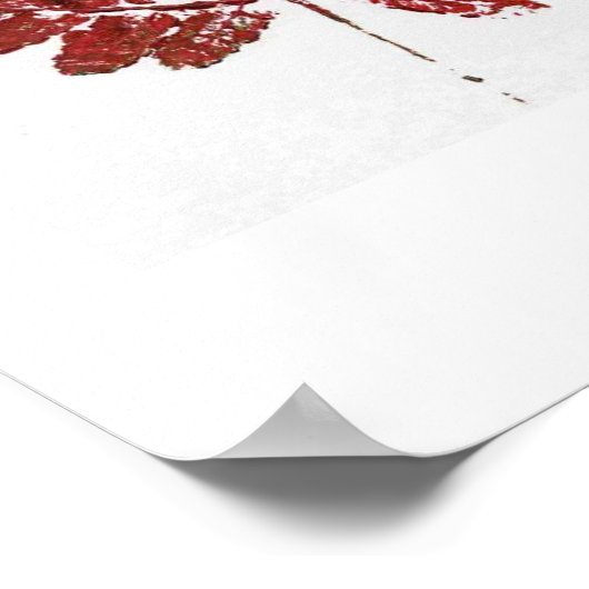 Poster Red Fern (Coin)