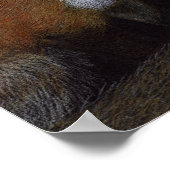 Poster Red Fox (Coin)