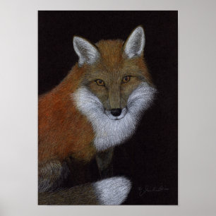 Poster Red Fox