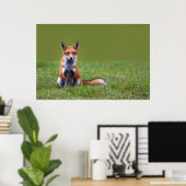 Poster Red Fox assis (Bureau à domicile)