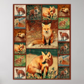 Poster Red Fox Collage (Devant)