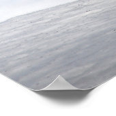 Poster Red Fox in Winter Snow (Coin)